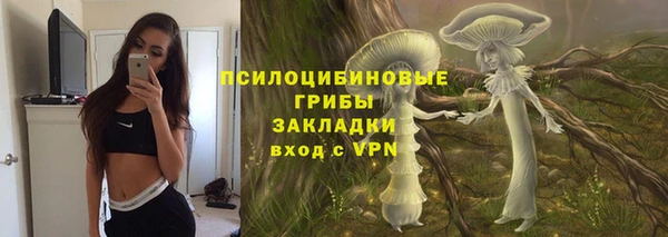 кокс Алзамай